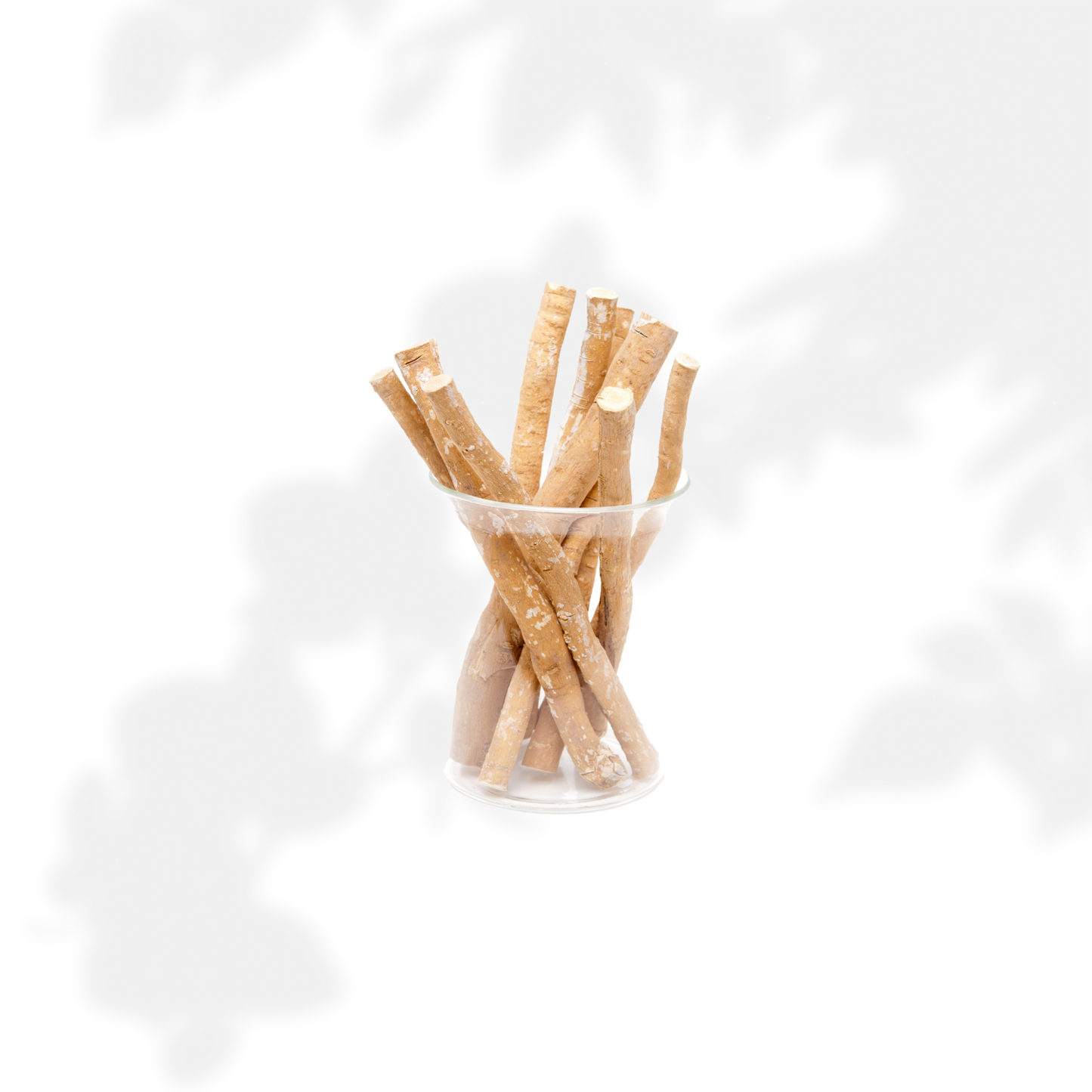 Miswak – Natürliche Zahnpflege nach Sunnah